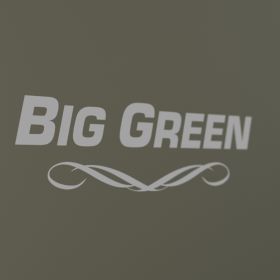 Big Green 80 - Gun Safe