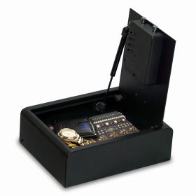 PV1-BIO Home & Office Safe