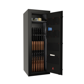 5520 Domain Gun Safe