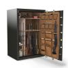 Remington STS 60 Flex Safe